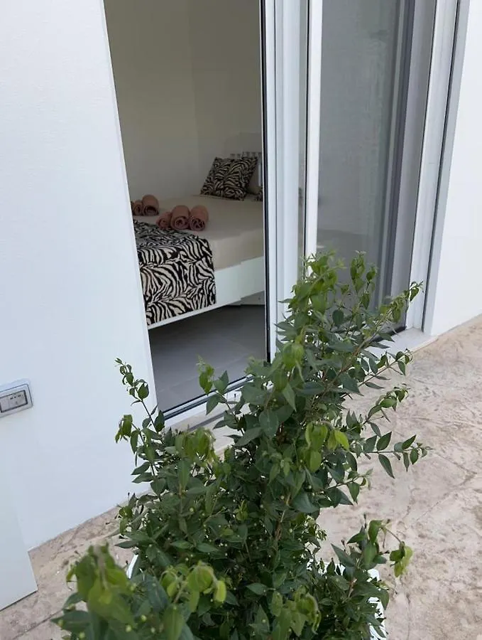 Windsurf Beach Front Torre Grande Apartment