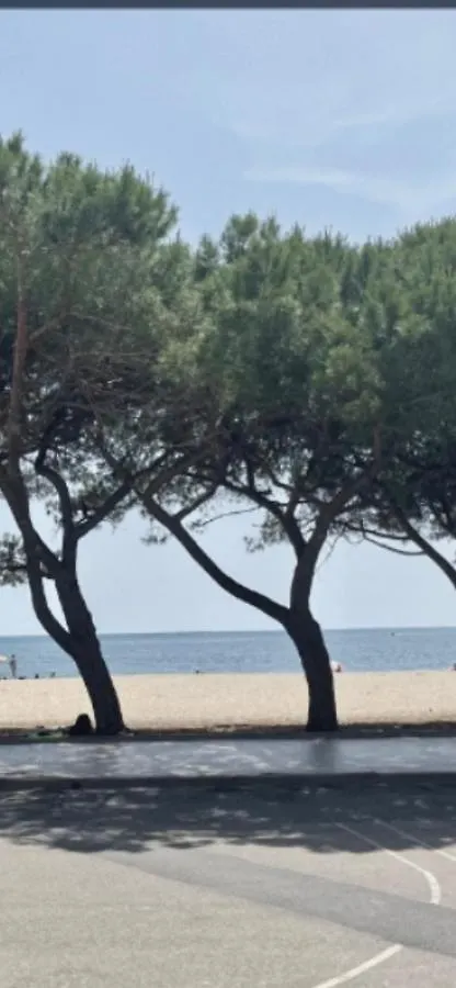 Windsurf Beach Front Torre Grande Italy