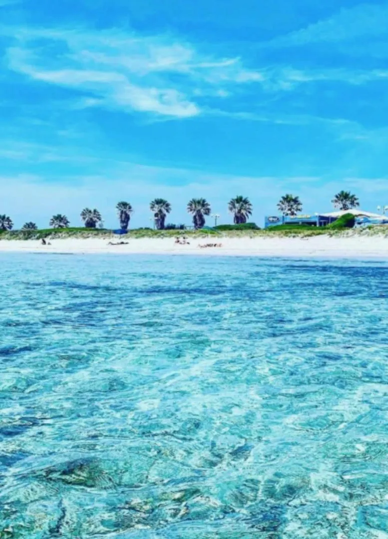 Windsurf Beach Front Torre Grande Apartment