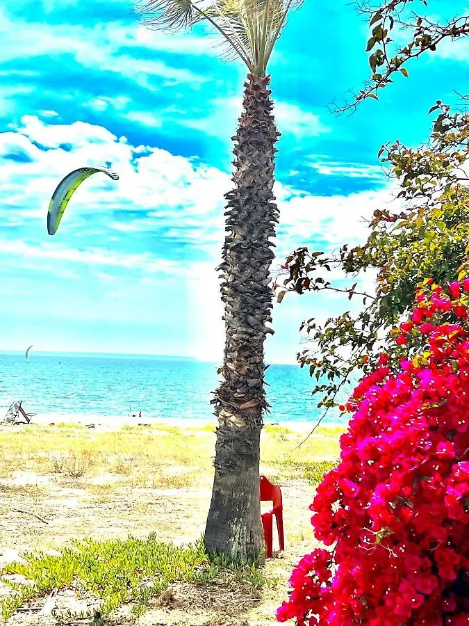 Apartment Windsurf Beach Front Torre Grande Italien